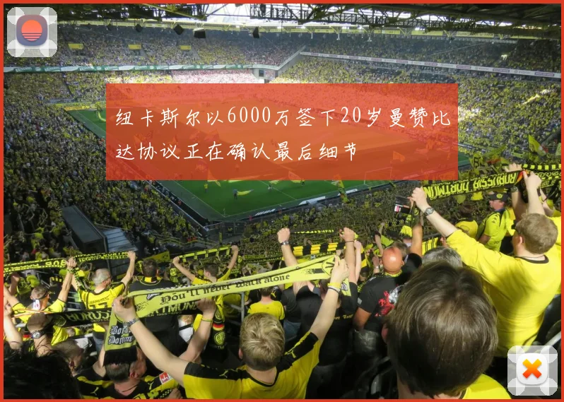 纽卡斯尔以6000万签下20岁曼赞比达协议正在确认最后细节