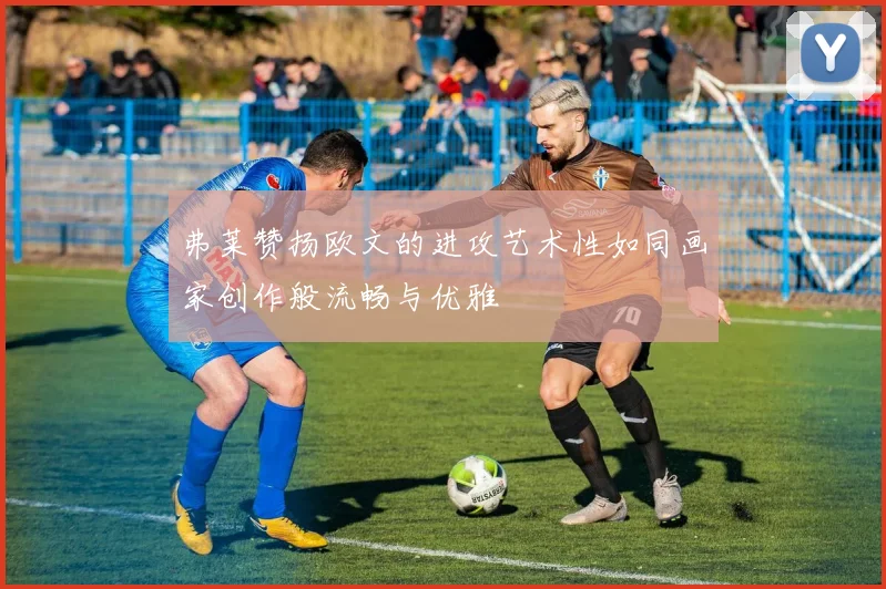 弗莱赞扬欧文的进攻艺术性如同画家创作般流畅与优雅